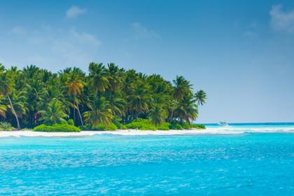 An island with palms on a sunny day